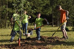 kids planting a tree 